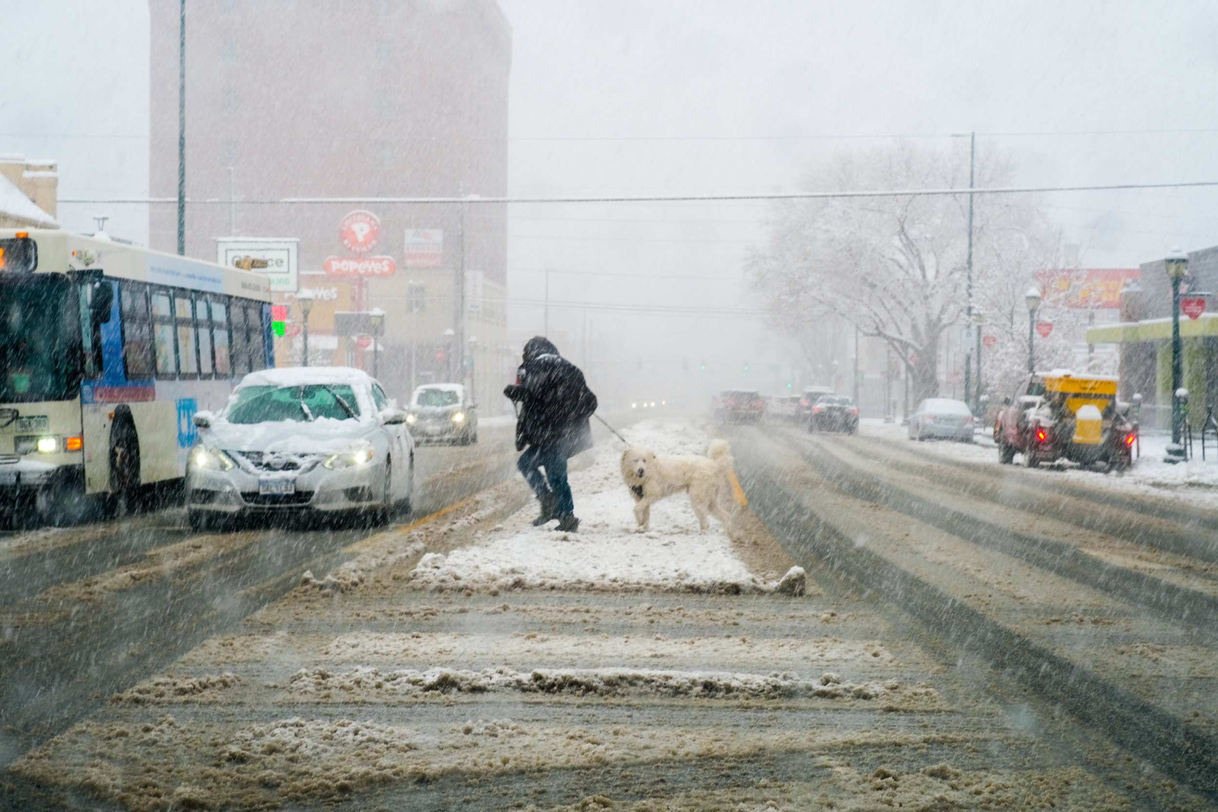 Snow storm, 2024.