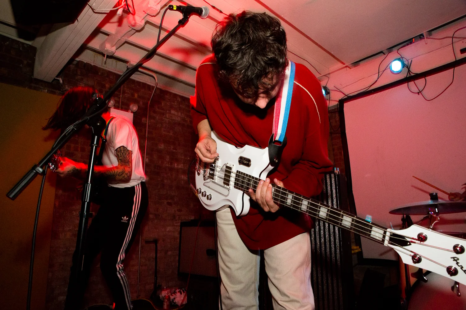 The Parrots