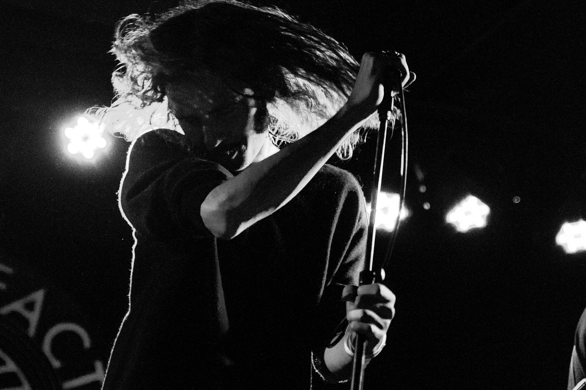 Max Pain and the Groovies
