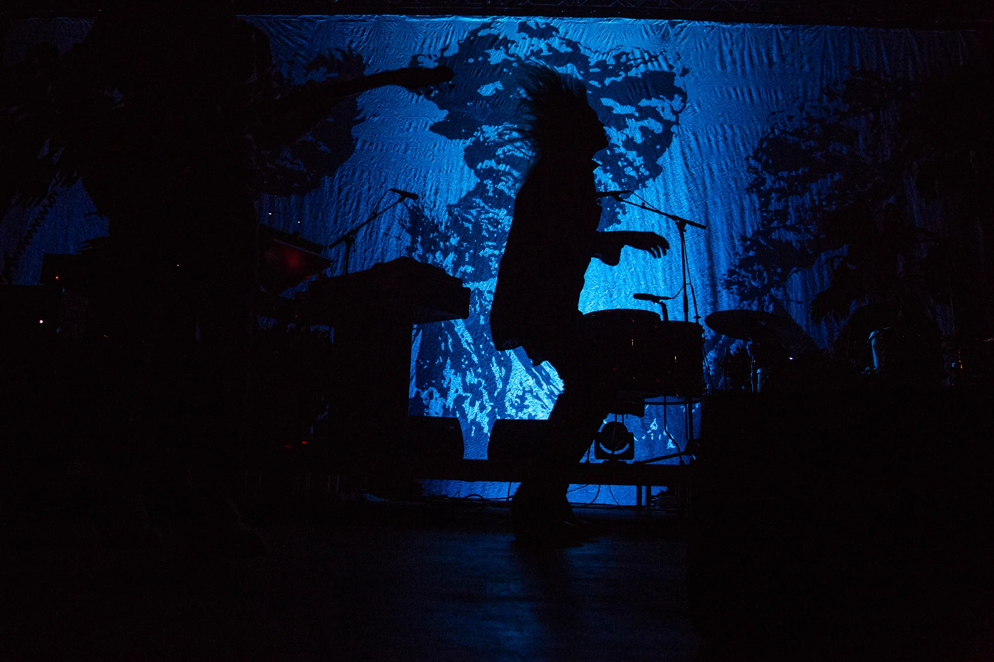 The Kills