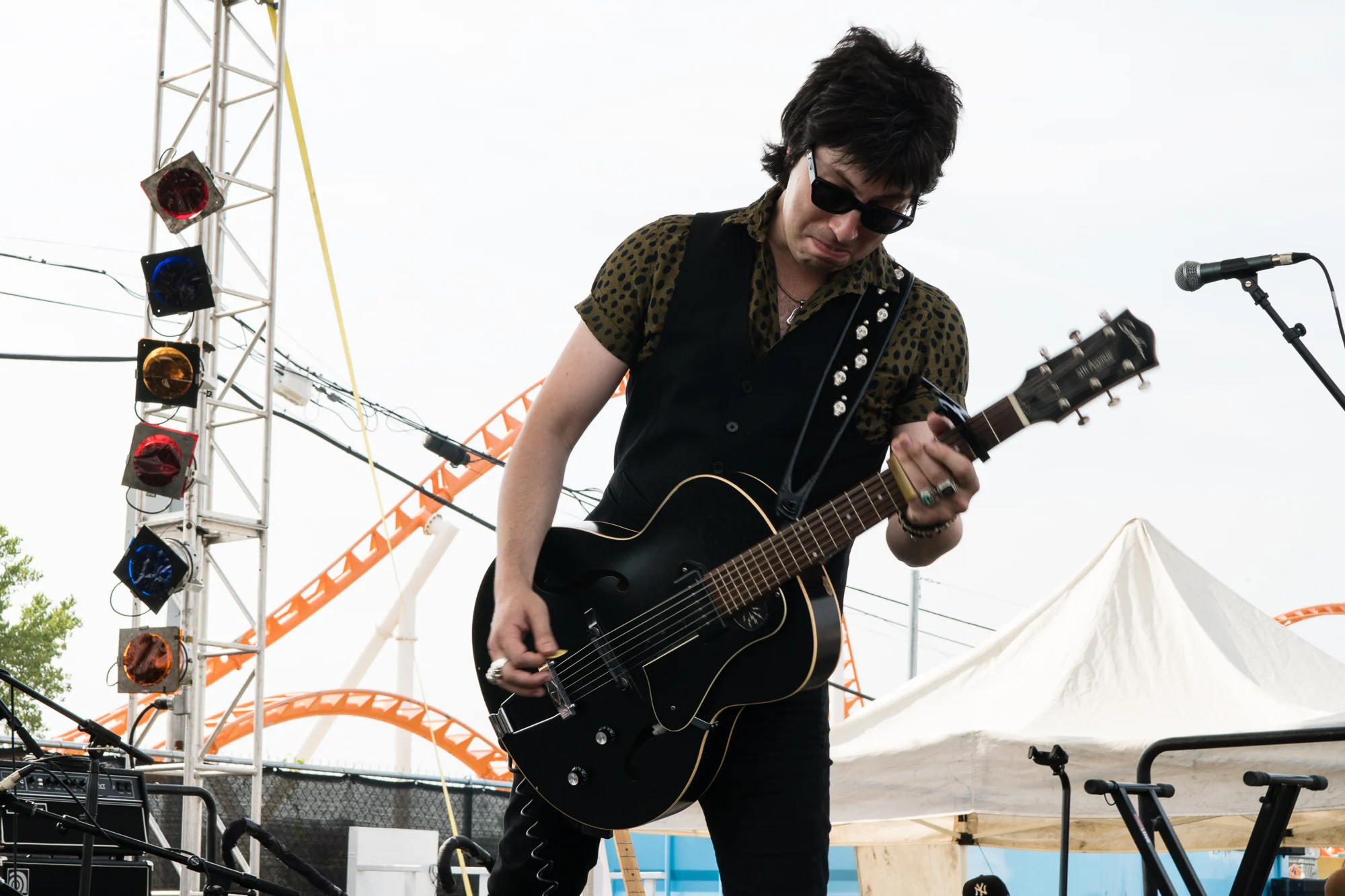 Daddy Long Legs