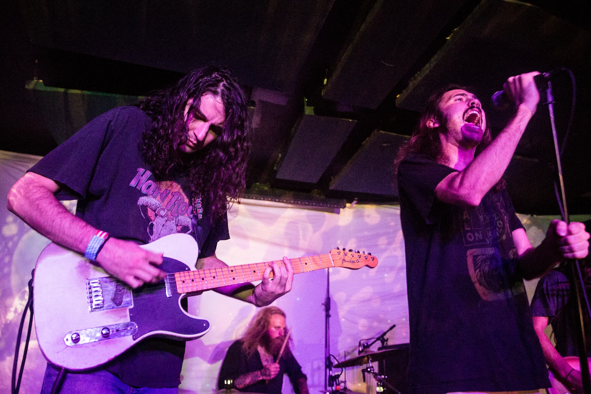 Max Pain and the Groovies