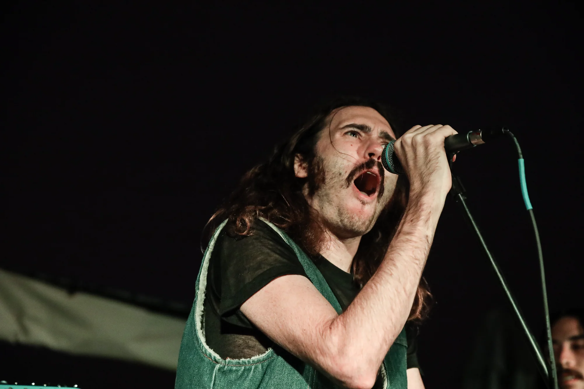 Max Pain and the Groovies