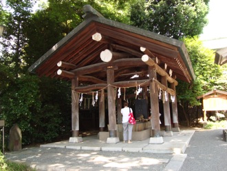 harajukushrine4.jpg