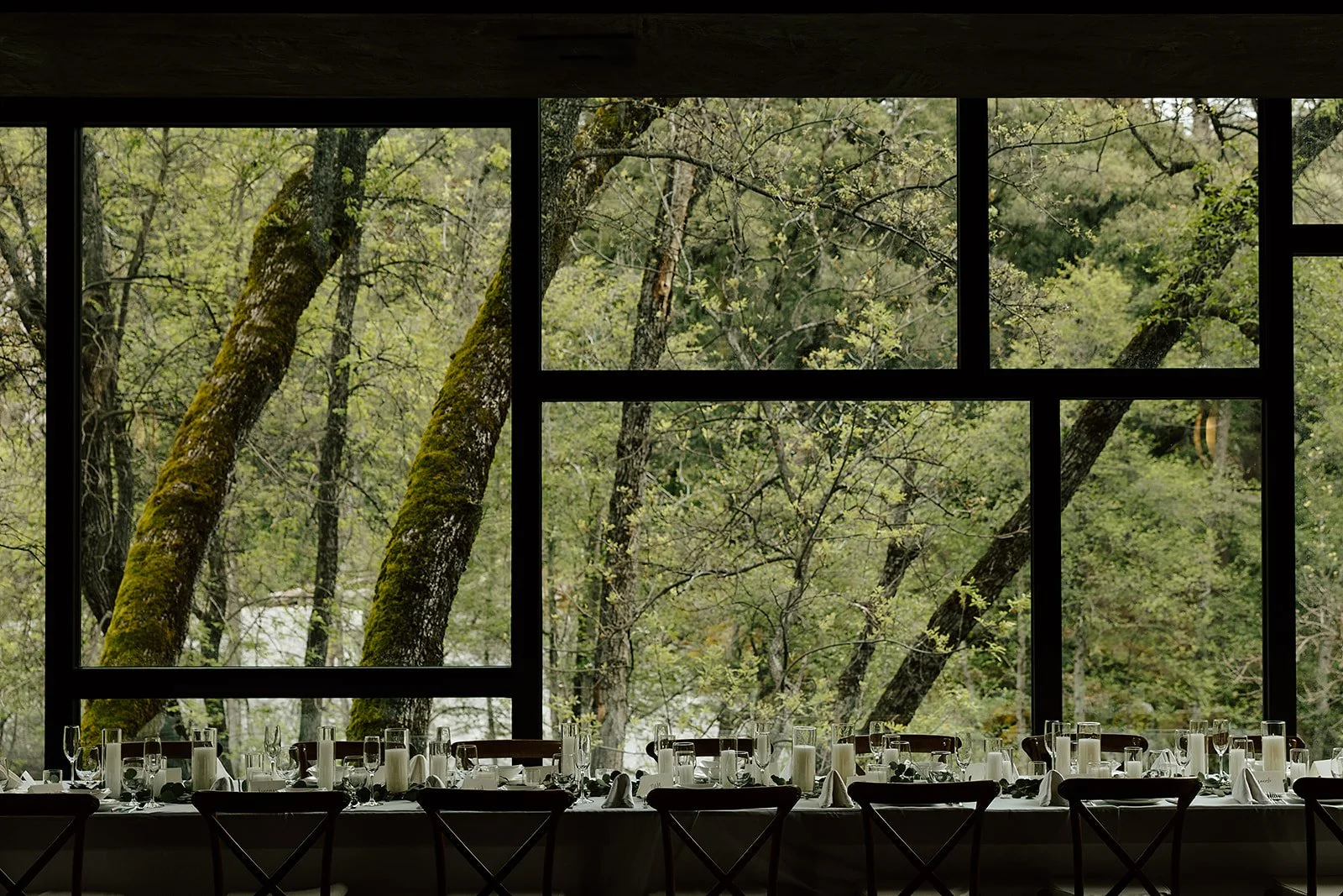 Spring Wedding with Hetch Hetchy Adventure