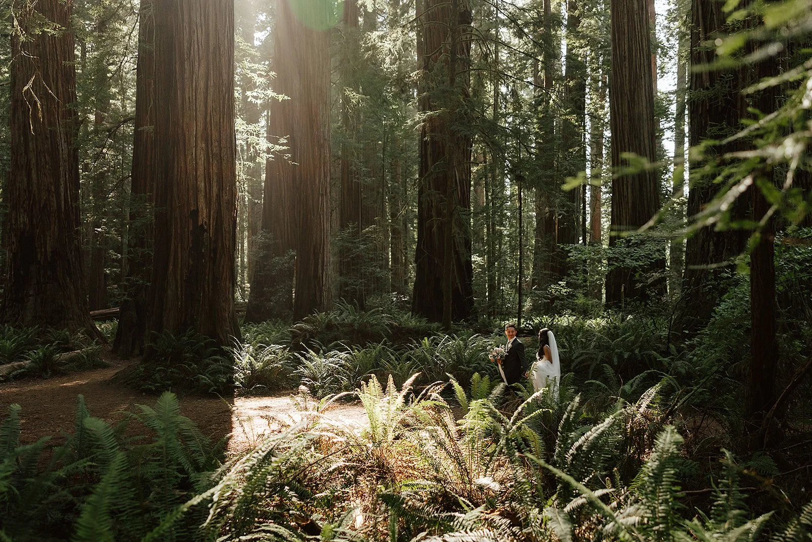 Top California Redwood Wedding Destinations