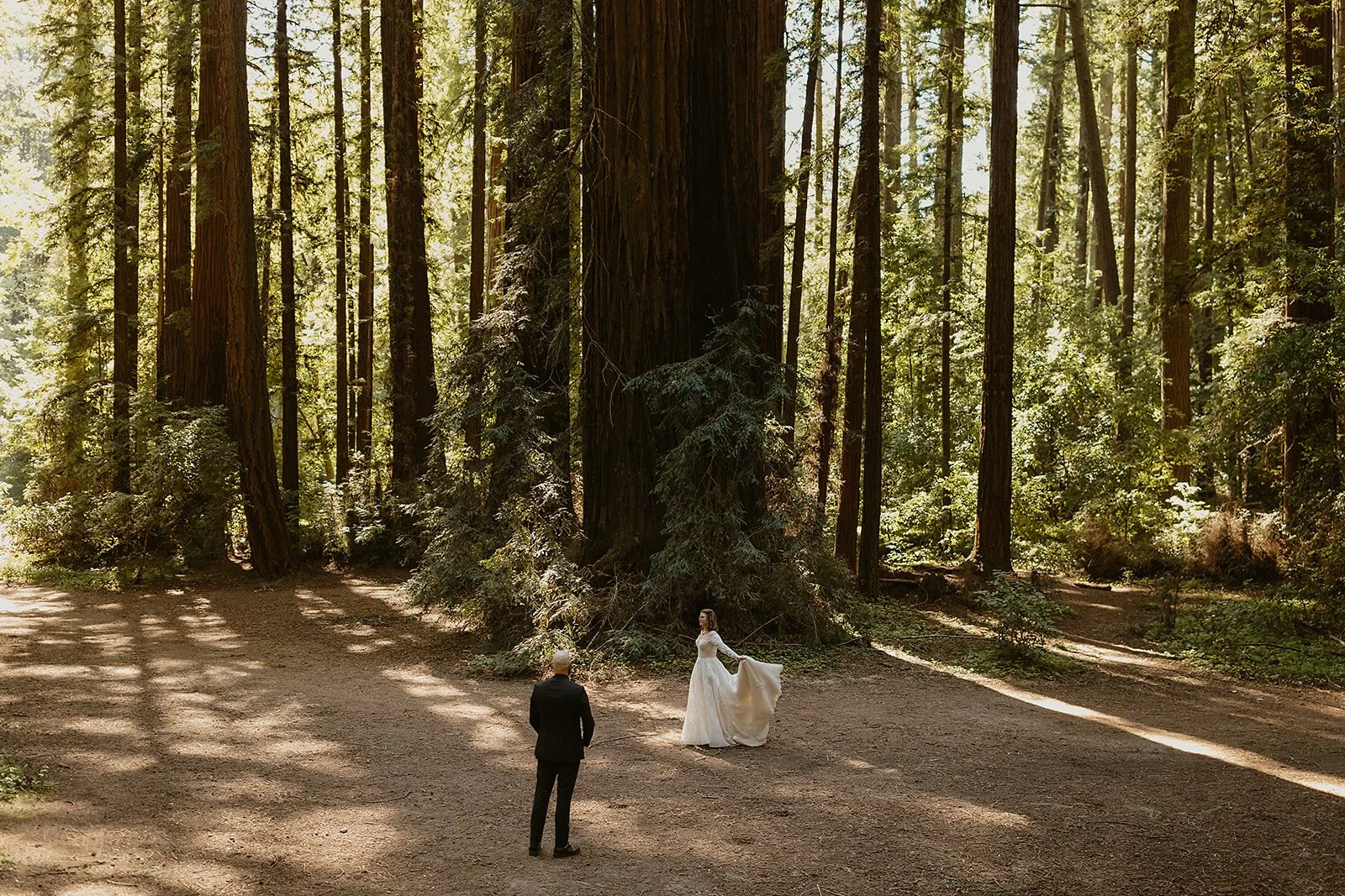 Henry Cowell State Park Redwood Wedding