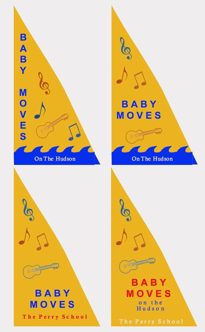 Preliminary Designs