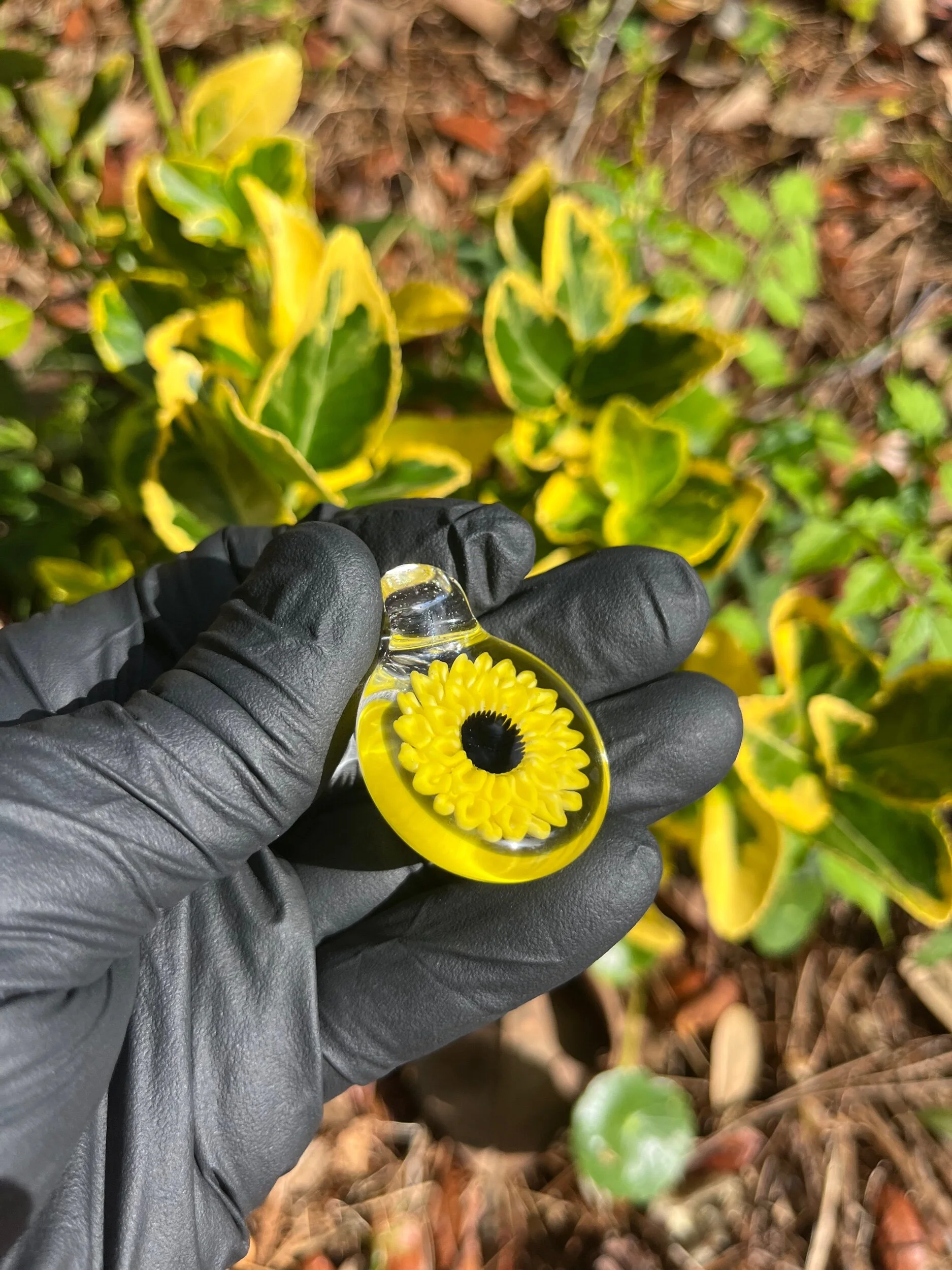 1A91FD1B-7010-4417-8B5C-FE3700B77D2D