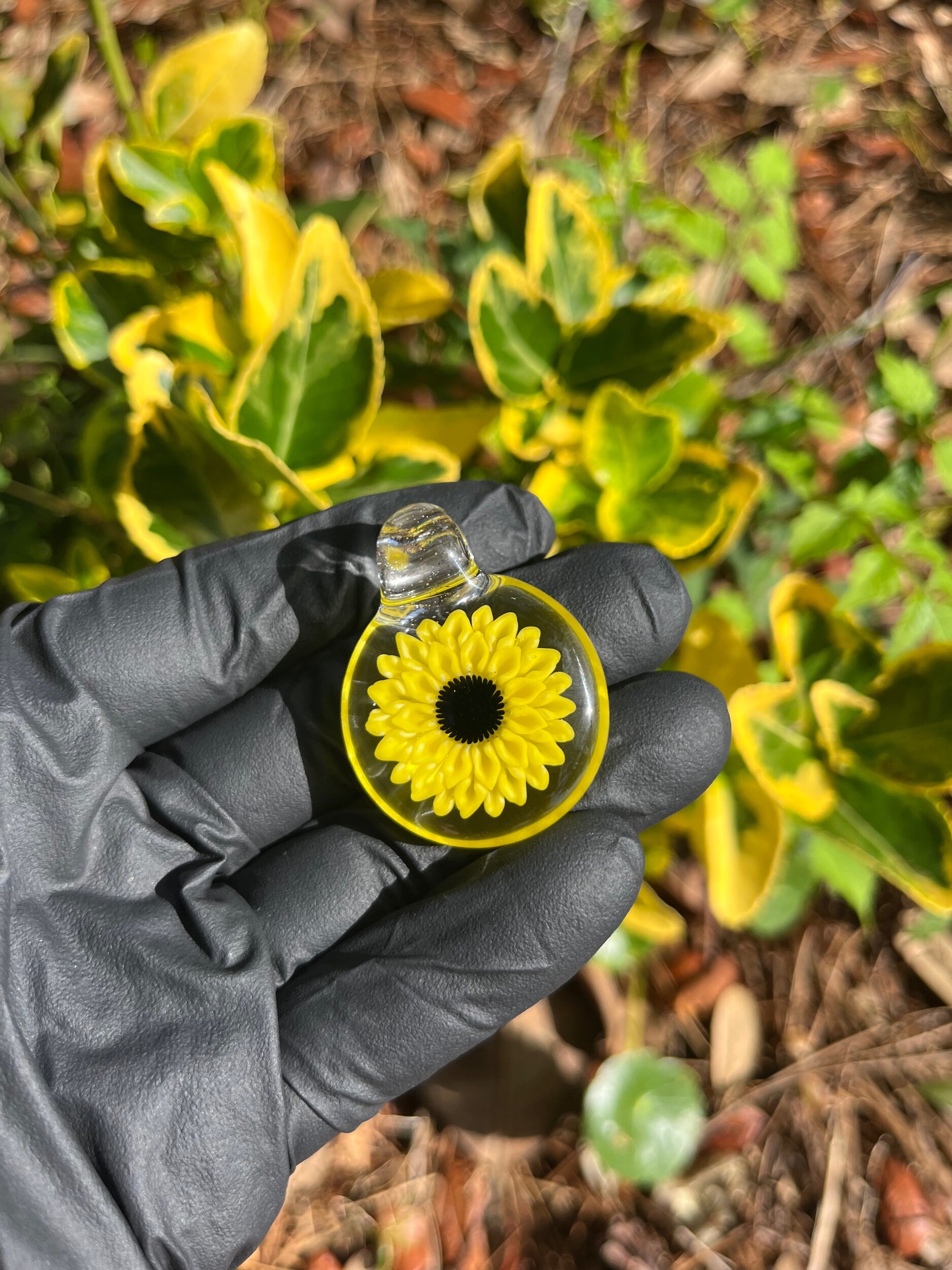 3B192675-619A-4808-B2CA-6E2412EB61FD