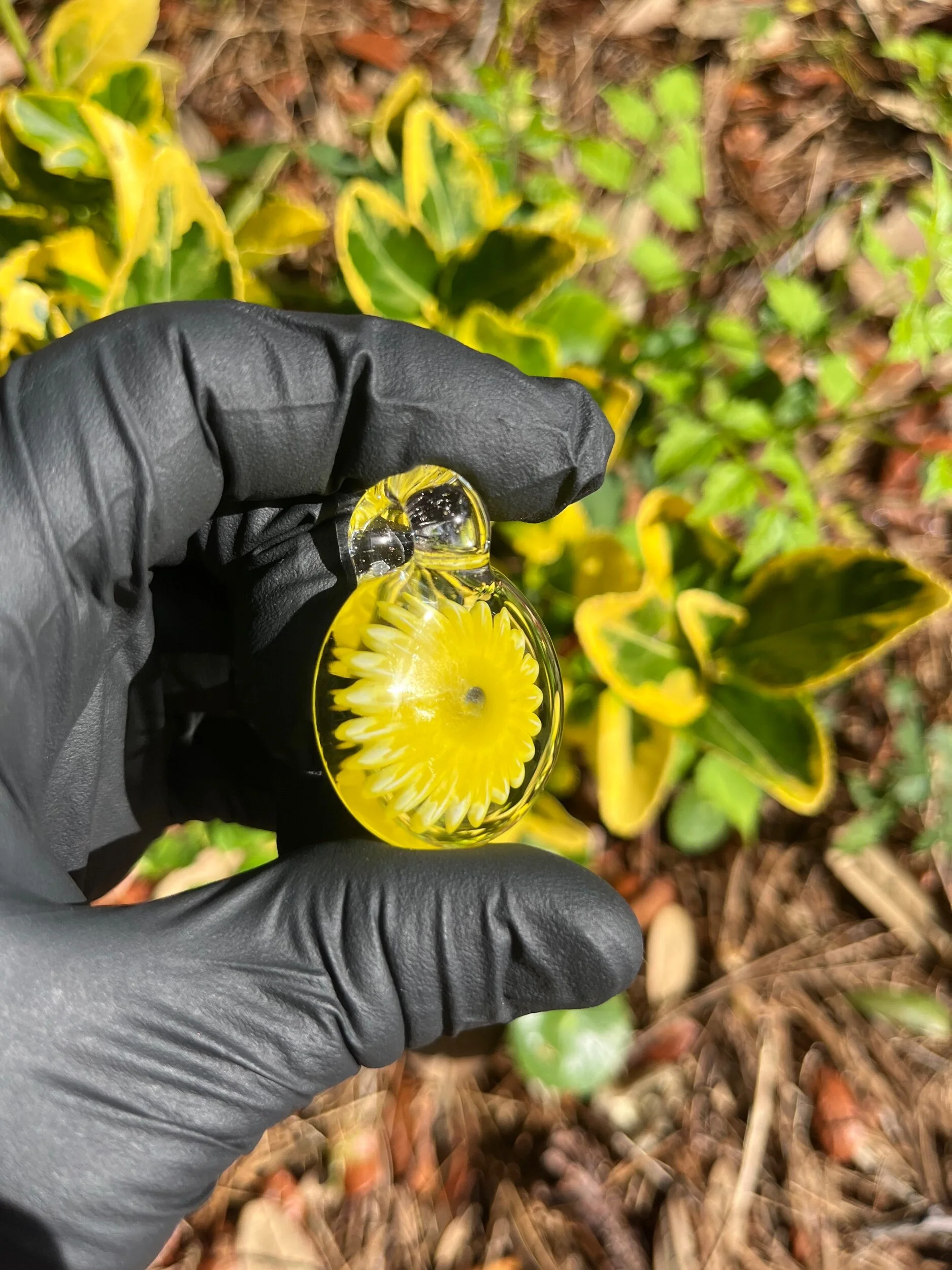 60C20446-24A2-4790-A0C1-0F2175FD4C22