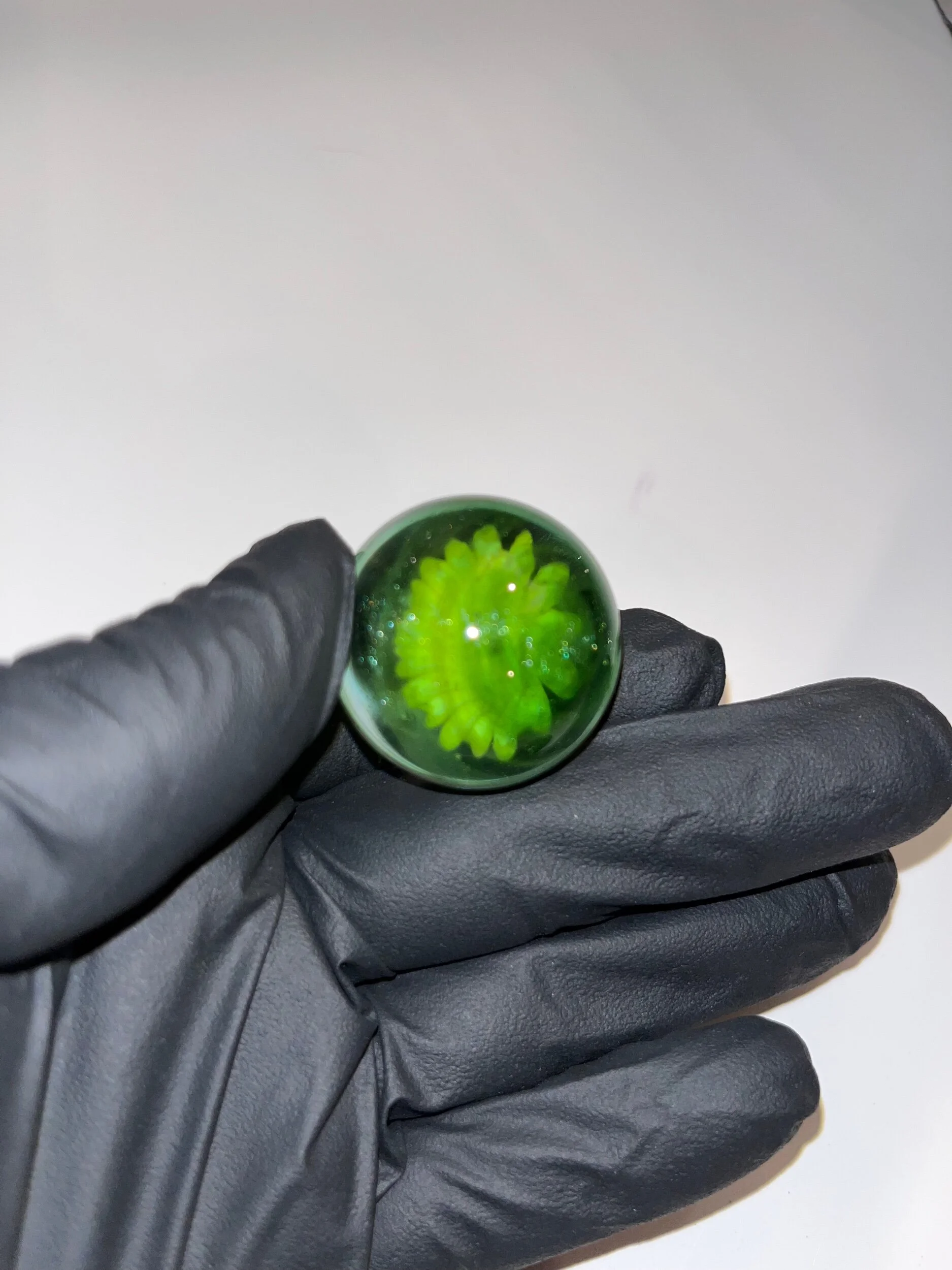 6FD43435-E148-4C64-865D-A61BD4117779