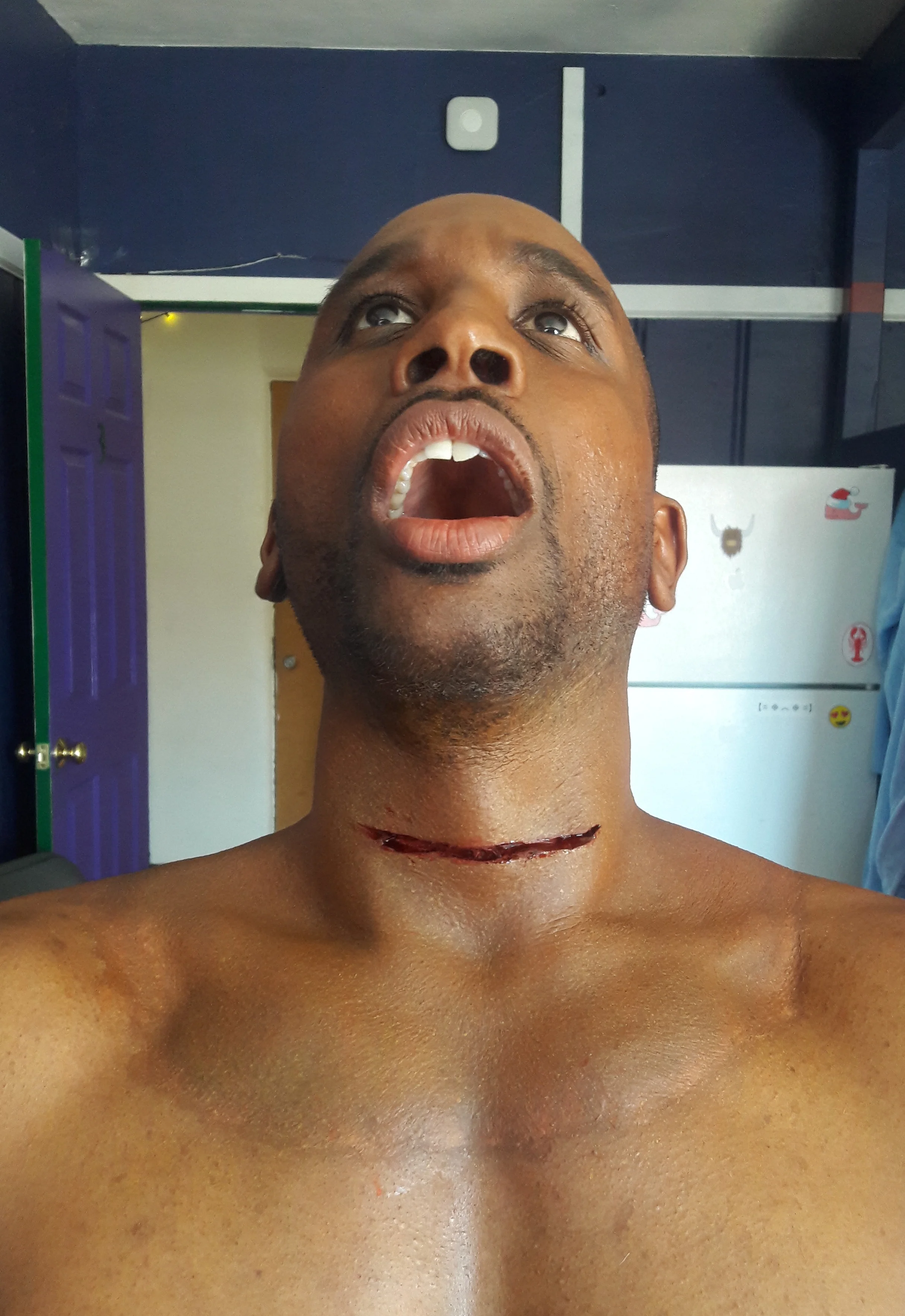 Awake, 2017 Director: Christine Liang UCLA Thesis Film Actor: Douglas S. Matthews Assisted by: Miranda Riddle Prosthetic: RBFX foam neck with blood bladder underneath