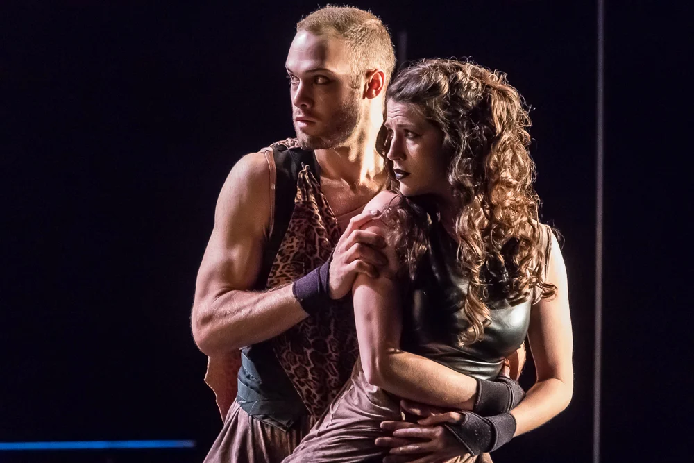 Paris in The Iliad: Menin (Rage)