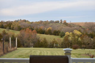 View from back porch.jpg