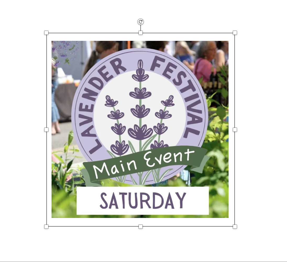 Lavender Festival - Oak Ridge, TN