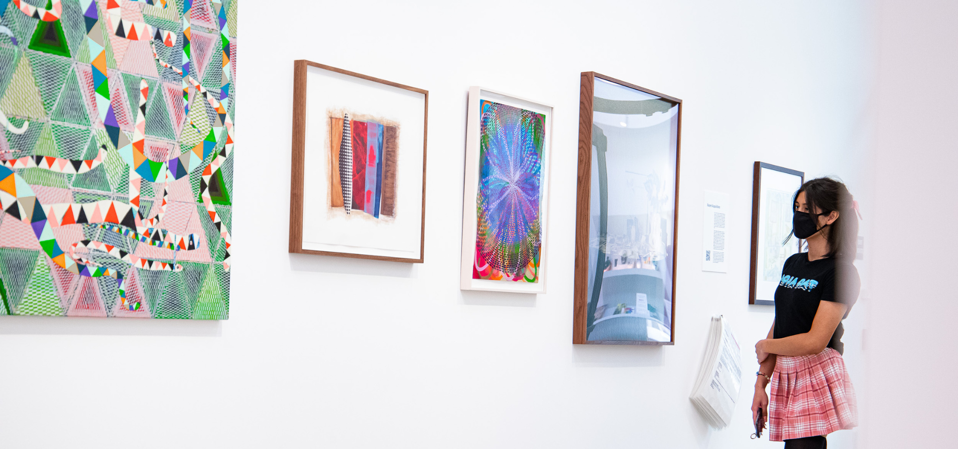 Nancy Graves at Kleefeld Contemporary — Nancy Graves Foundation