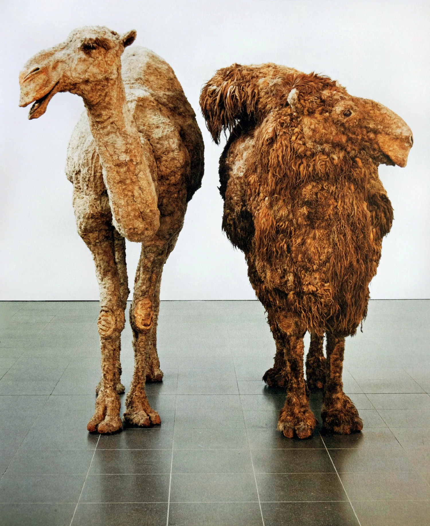 Left: Kenya Dromedary (To Peter Ludwig), 1969. Right: Mongolian Bactrian (To Harvey Brennan), 1969. Each mixed materials, animal skin, wax and paint. 96 x 126 x 48". Collection Ludwig Forum, Aachen.