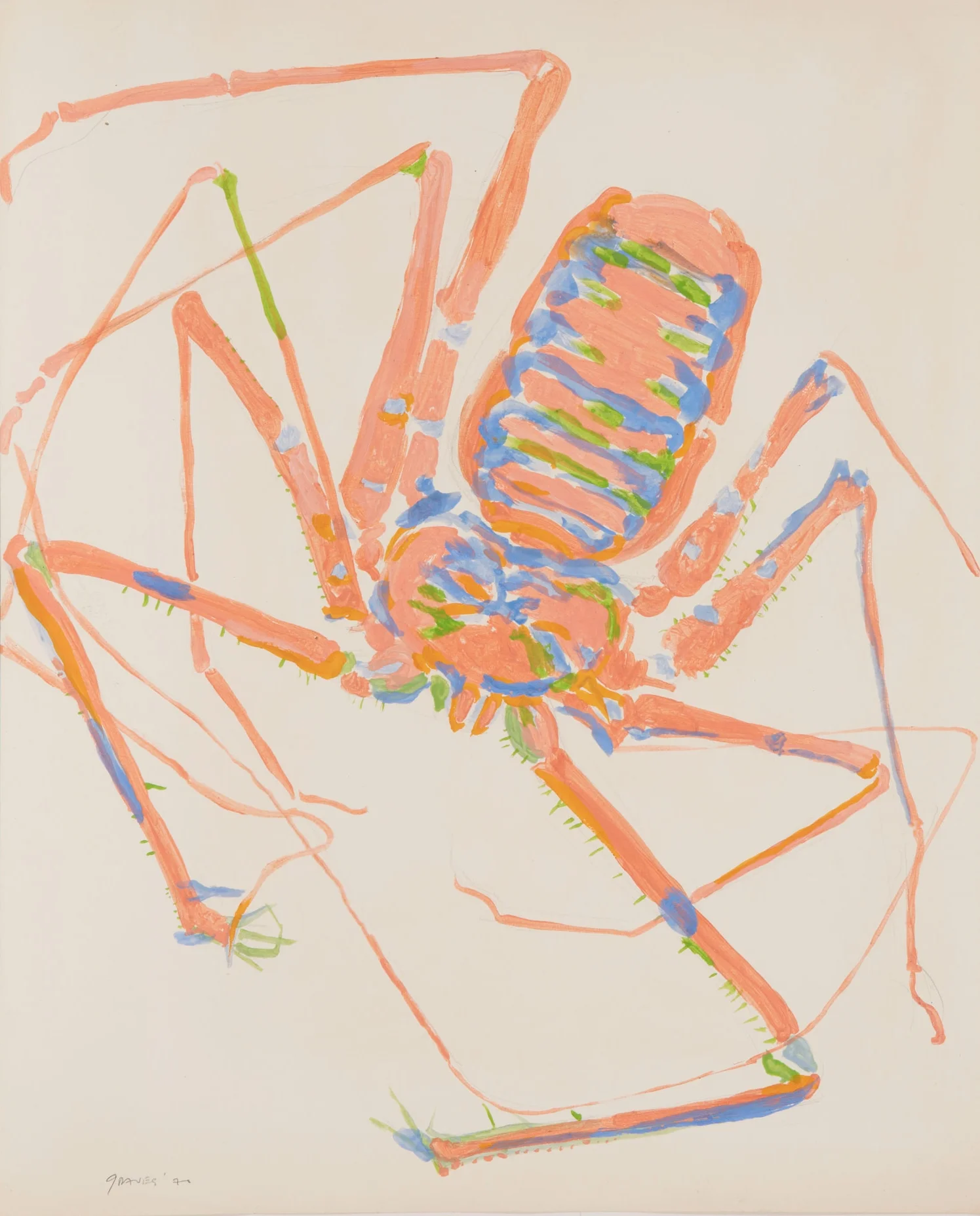 Spider, 1970. Graphite, gouache, acrylic on cream wove paper. 17 x 13.5". Private collection.