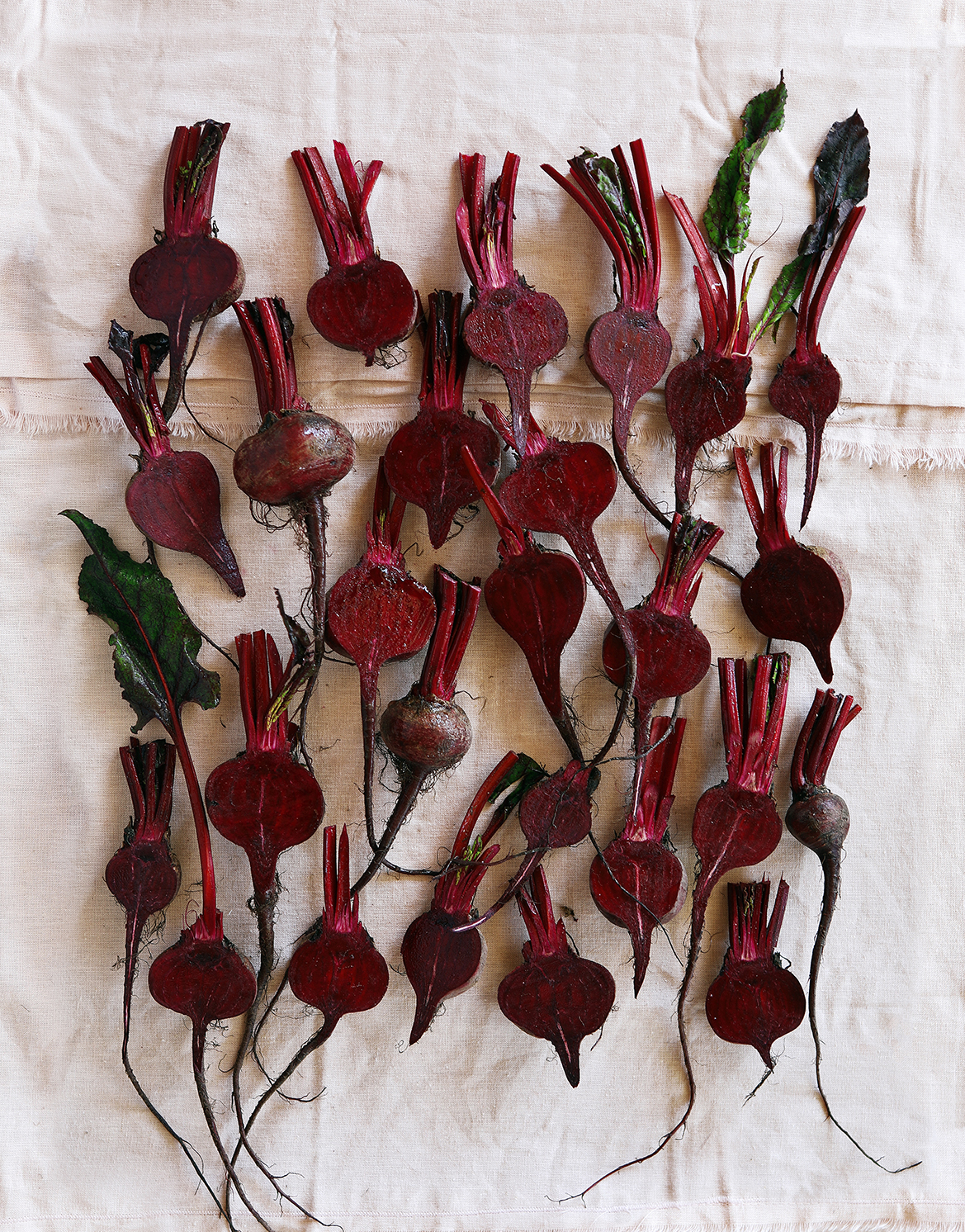 Beetroots_FINAL_003_Squarespace.jpg