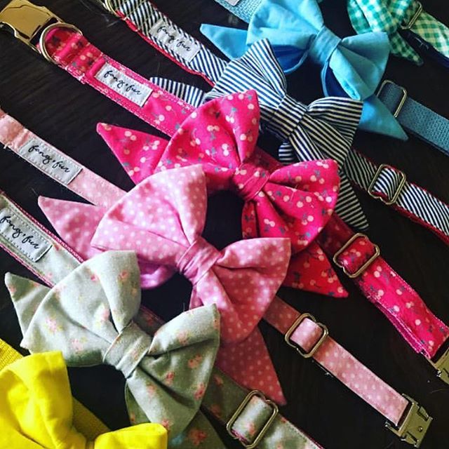 When your dog has a badass collection of dog collars... and leashes... and bows. @mad_about_alice we love your style! *
*
*
*
*
*
#supportlocal #faf #temecula #murrieta #supportsmallbusiness #dogsofinstagram #puppiesofinstagram #doglovers 
#supportlo