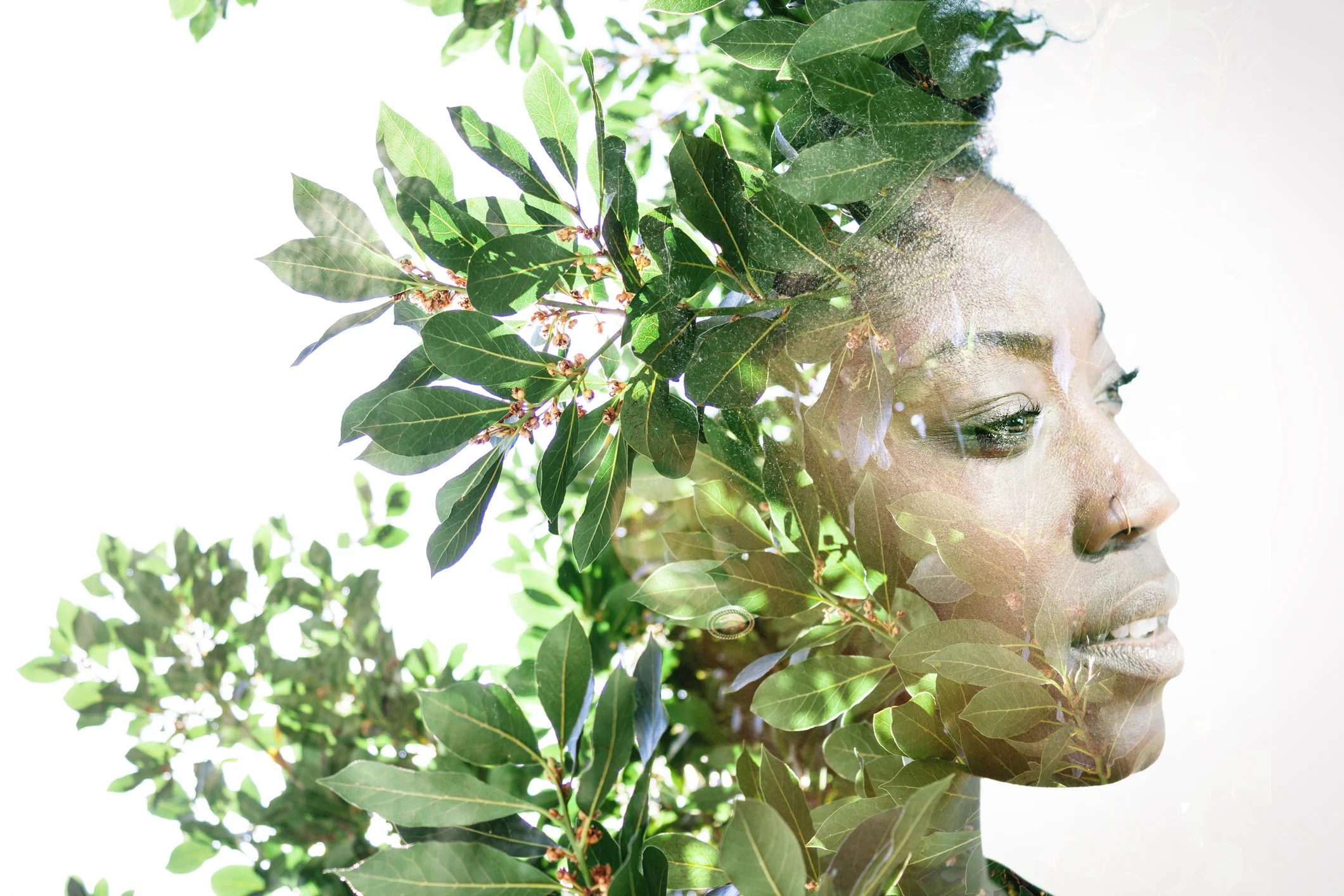 WILL Power (Women Intentionally Living Life)