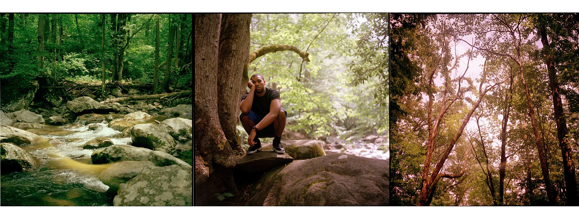 Tryptic 2.jpg