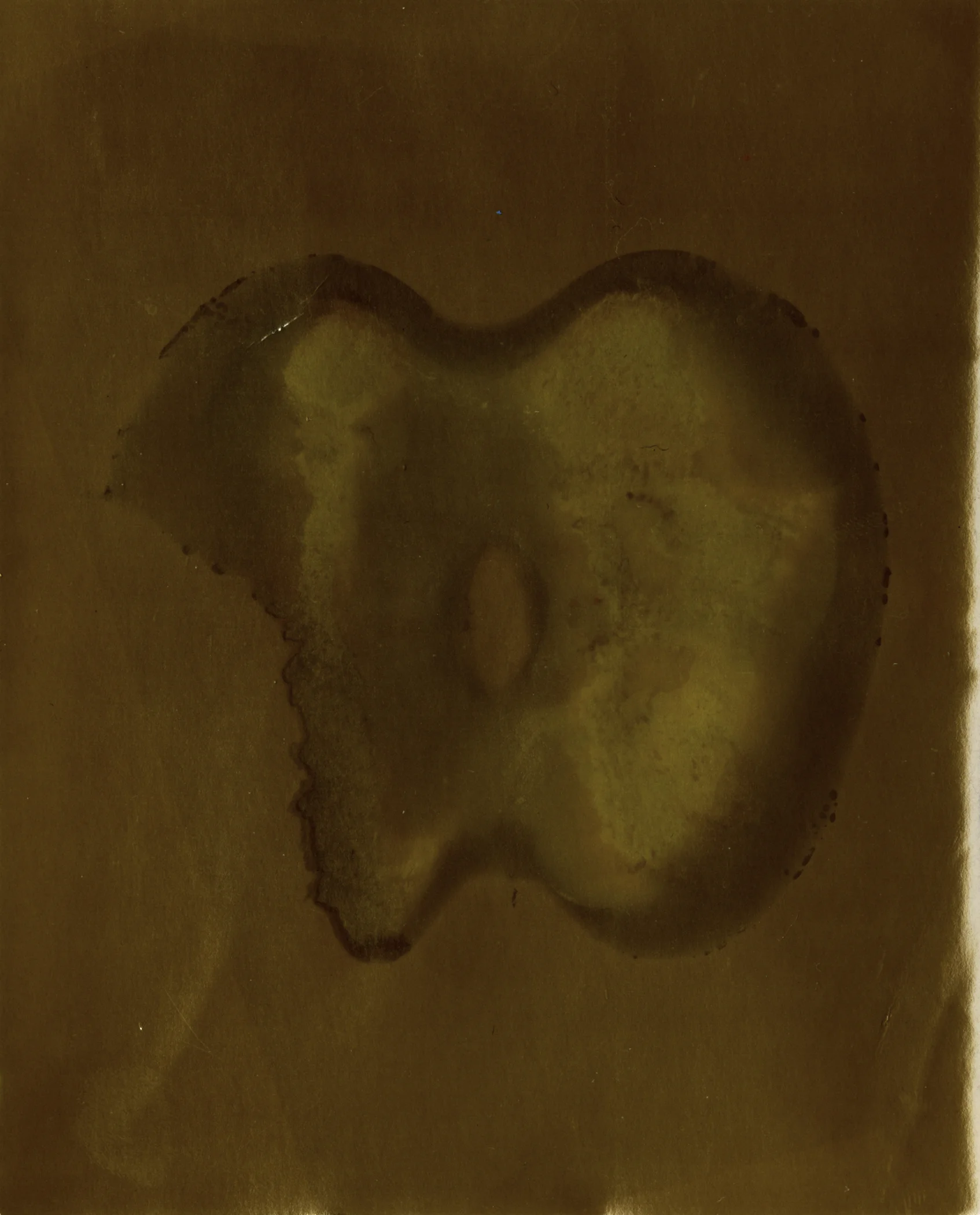 Lumen 4x5015.jpg
