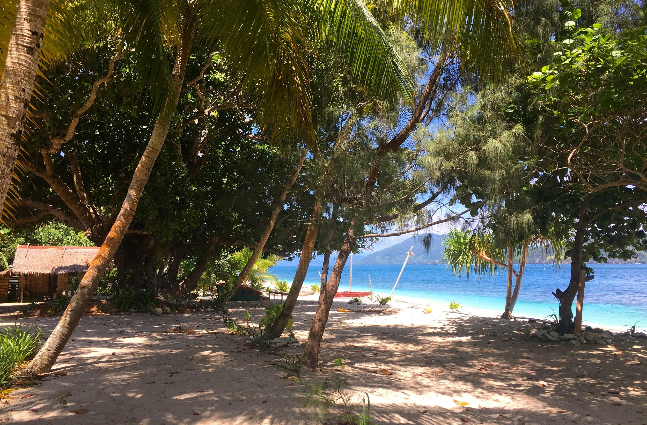 Gonubalabala Island Main Beach