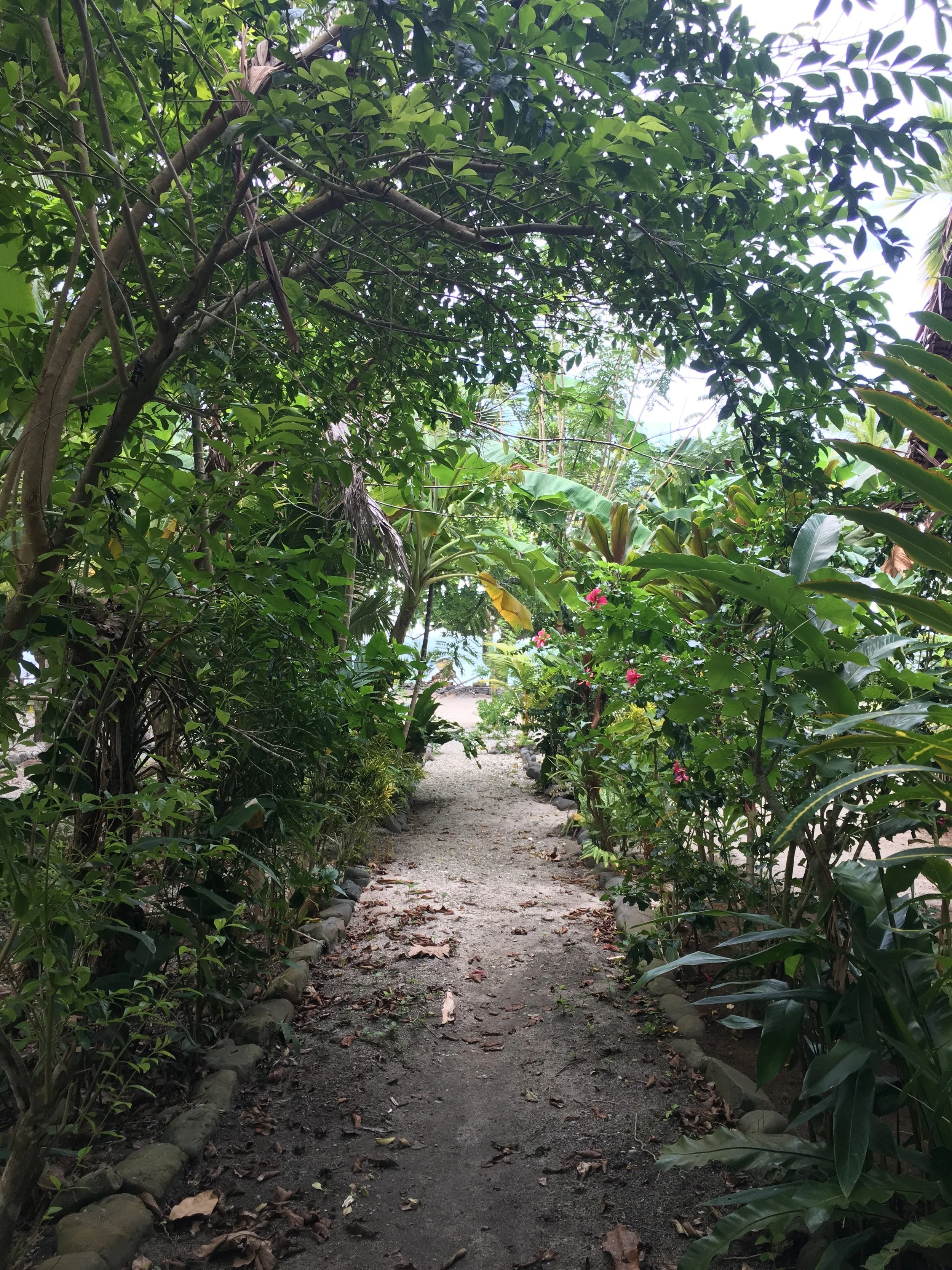 Garden Path Tauwase Homestay Gonubalabala