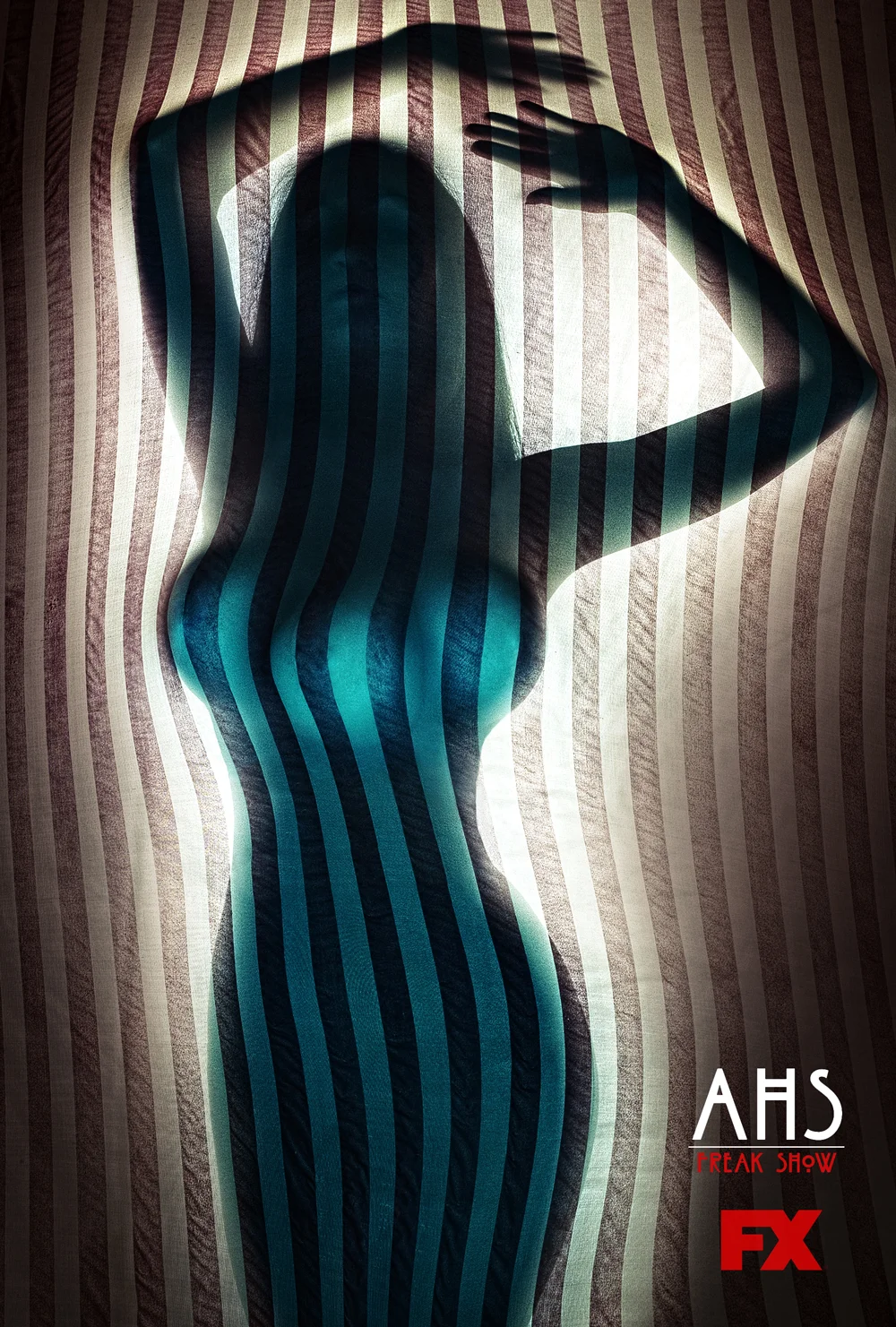 AHSFS_AB_OneSheet_Rev230_029.jpg