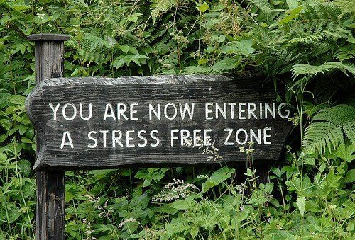 stressfreezone.jpg