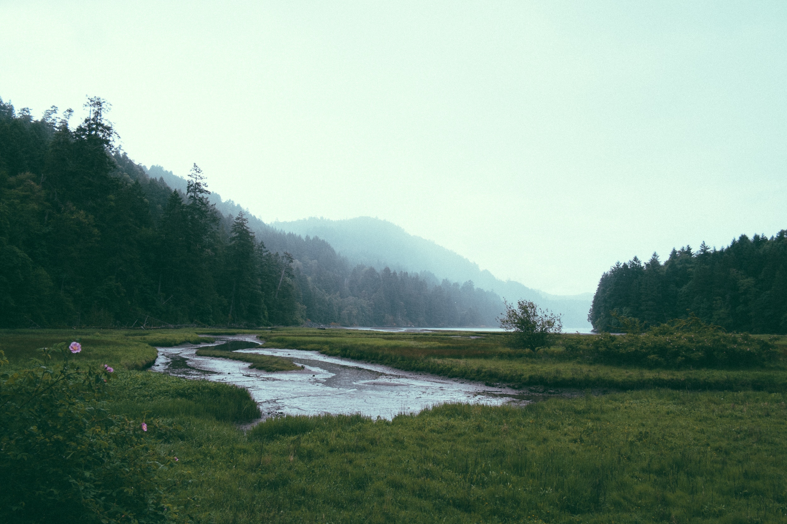 paul-jarvis-20-unsplash.jpg