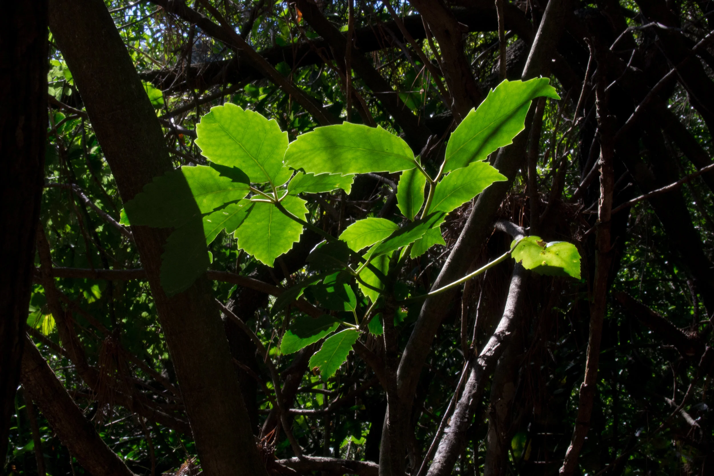 Harry Ell (3 of 12).jpg