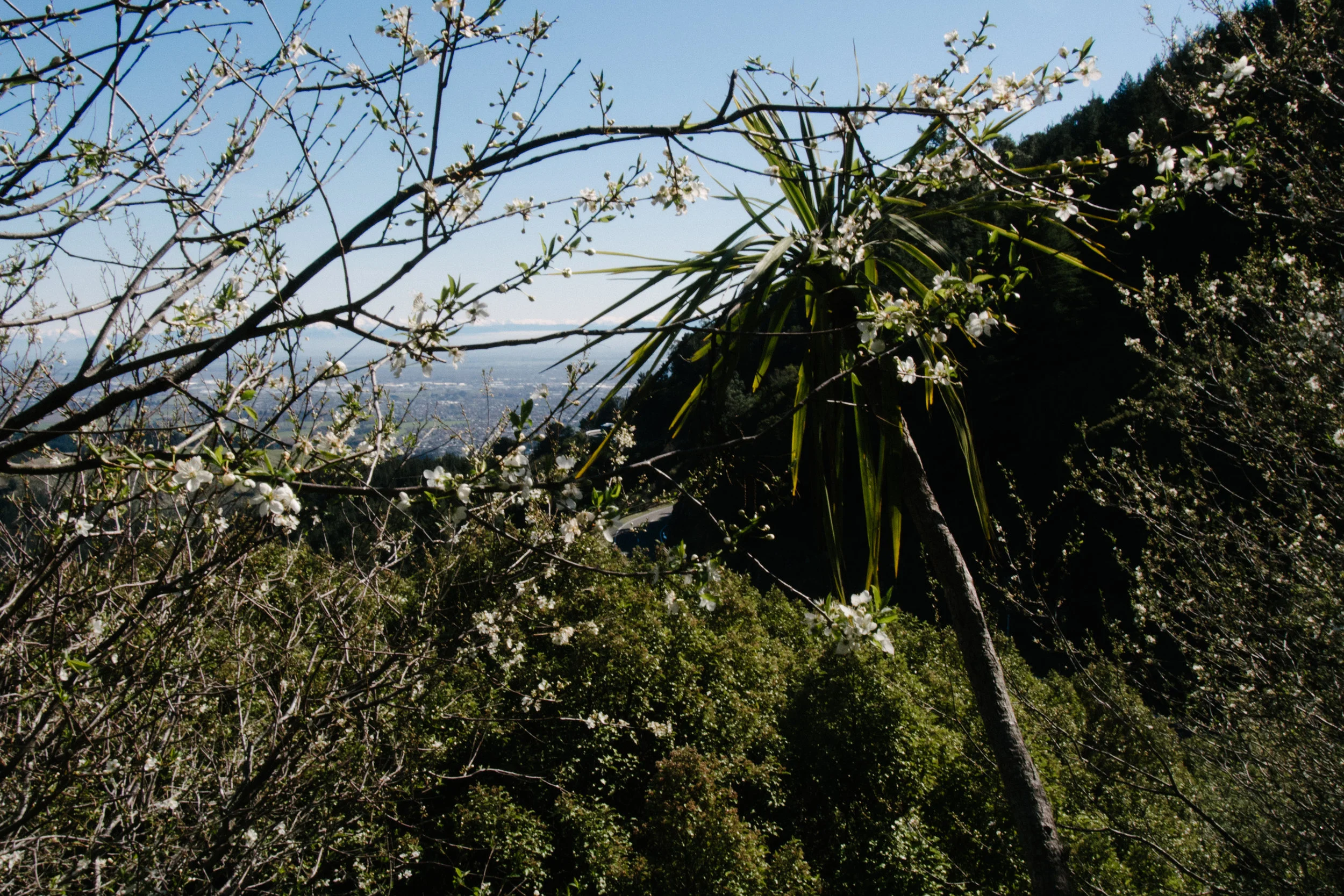 Harry Ell (4 of 12).jpg