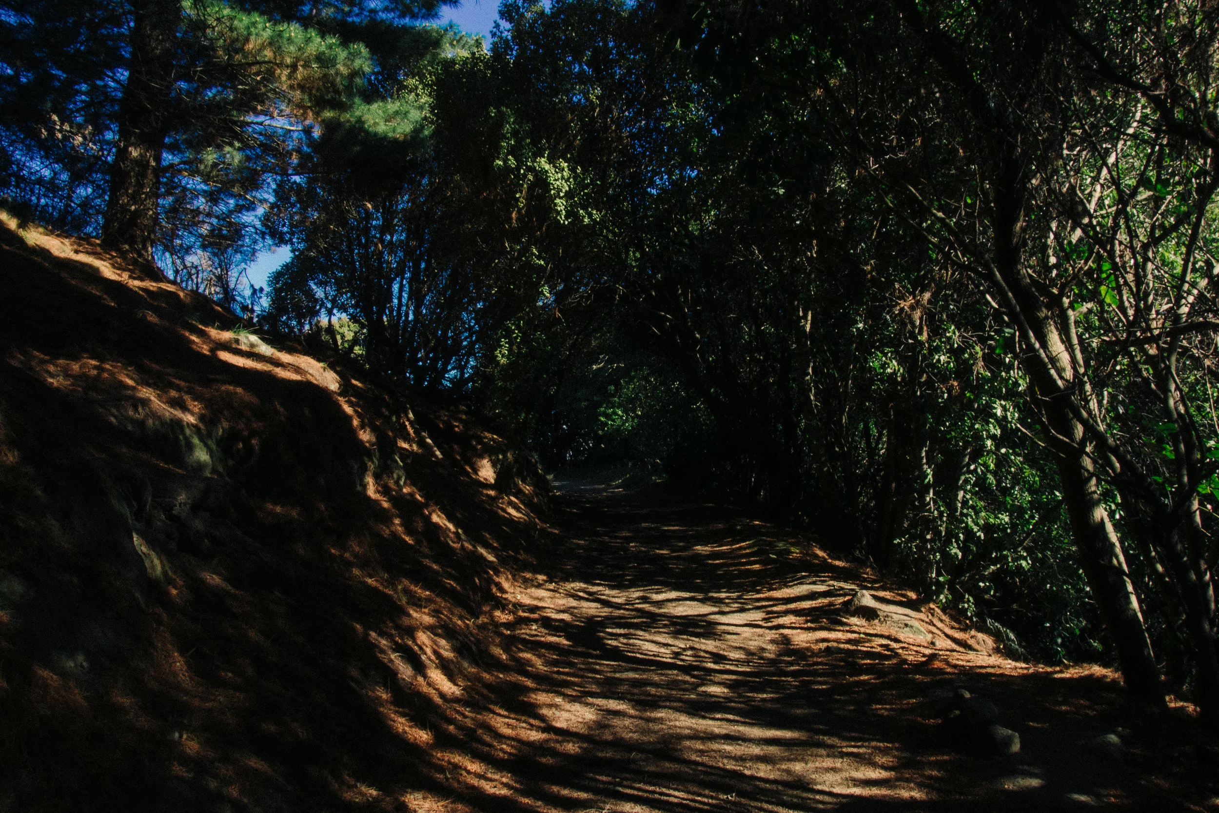 Harry Ell (11 of 12).jpg