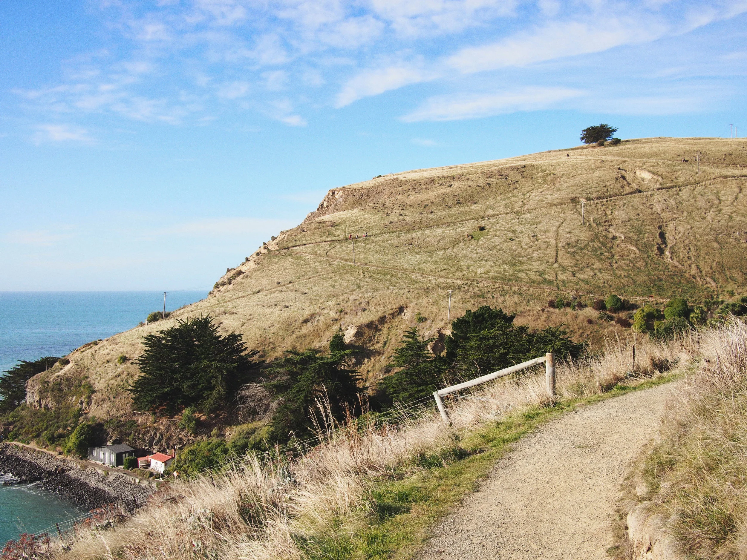 Track to Godley Head.jpg