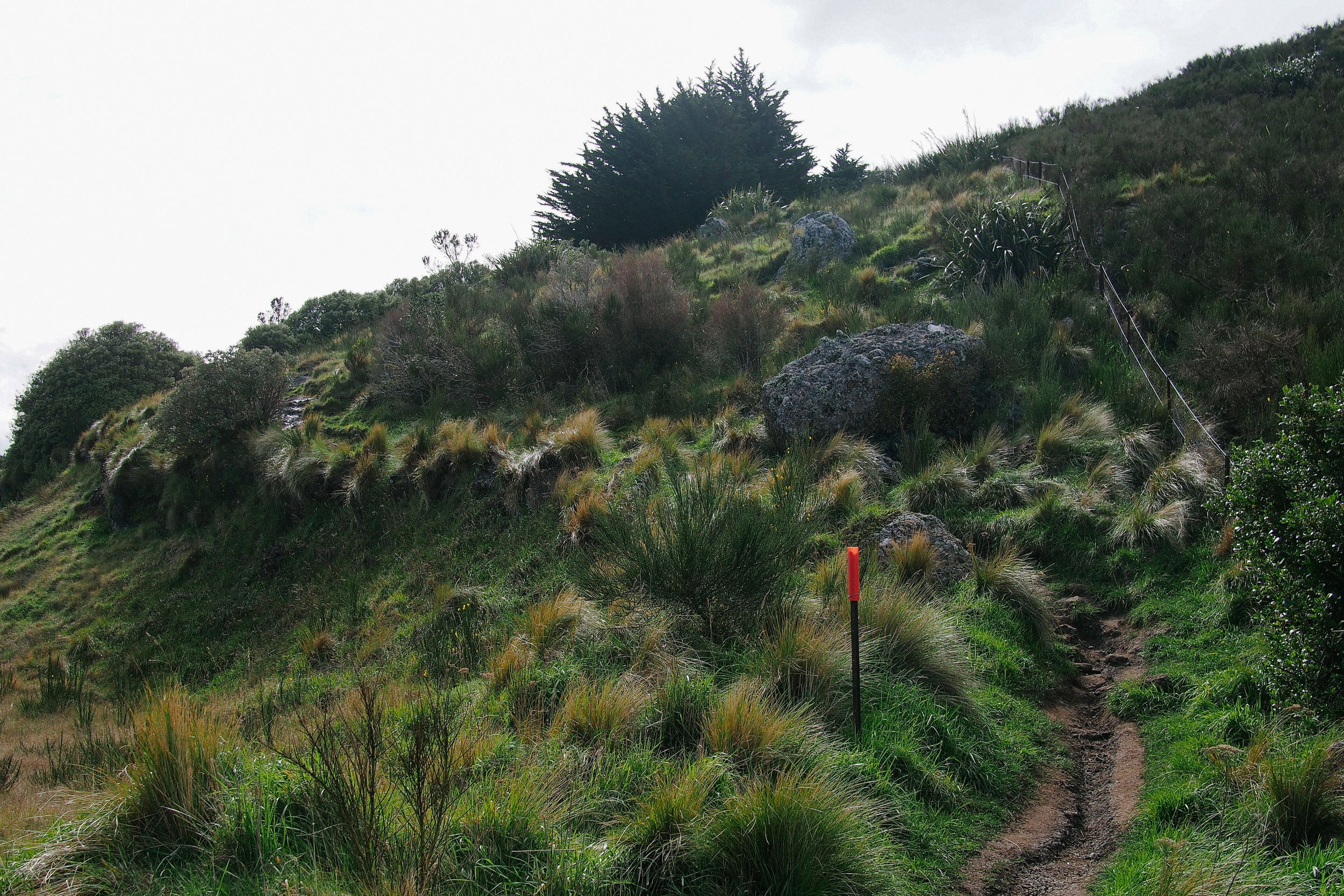 Crater Rim Vernon-19.jpg