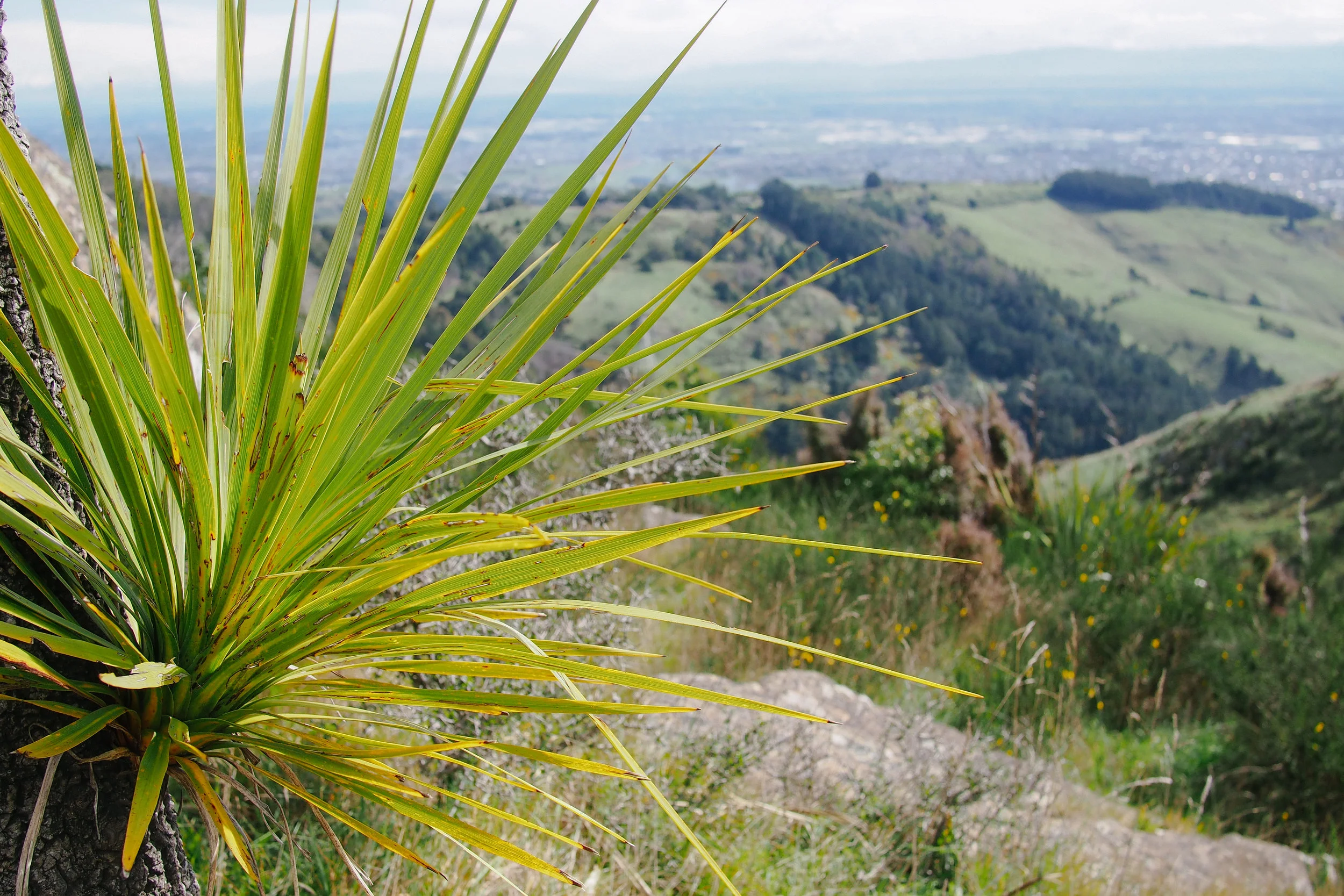 Crater Rim Vernon-27.jpg