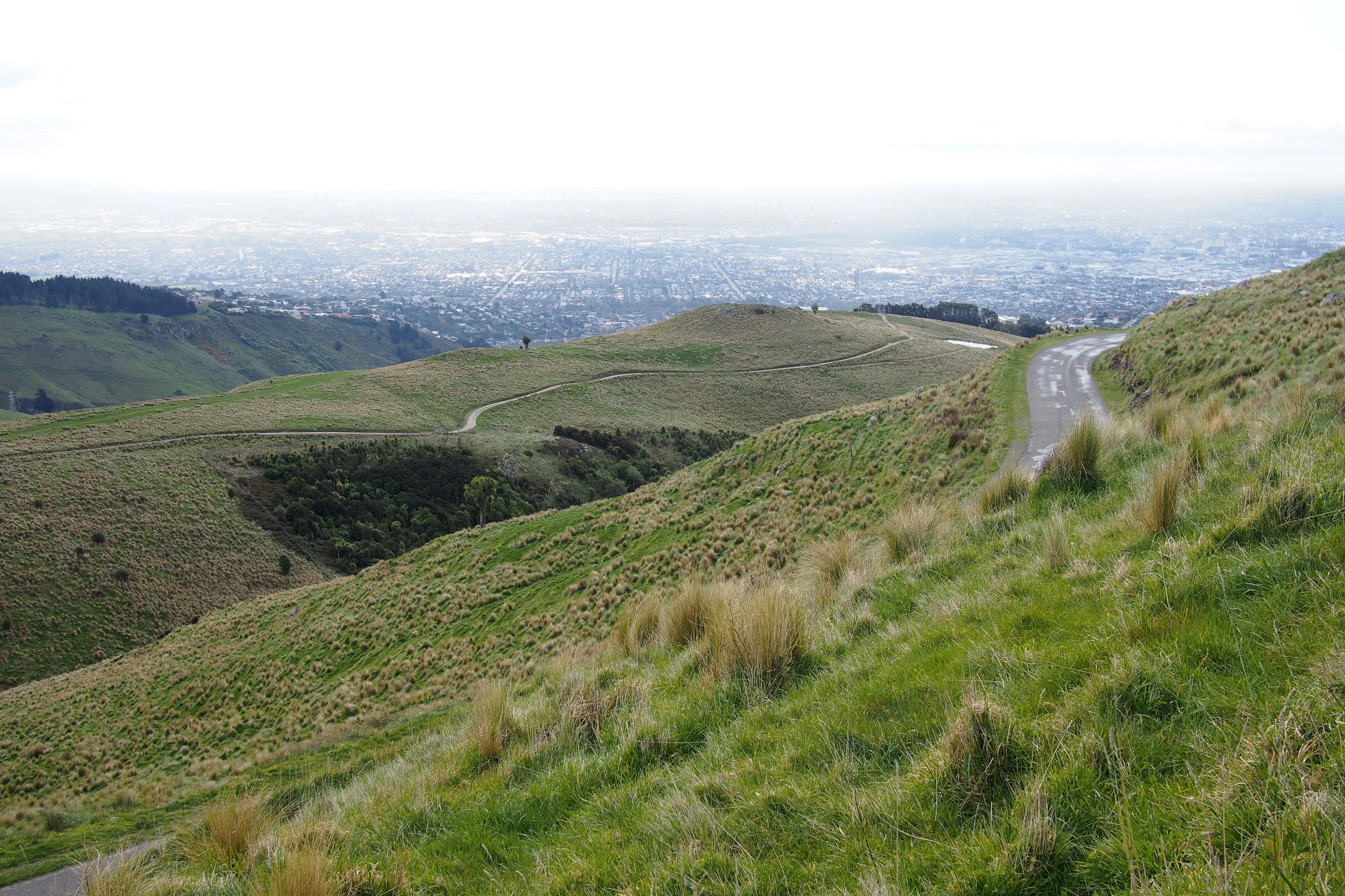 P9140186-2.jpg