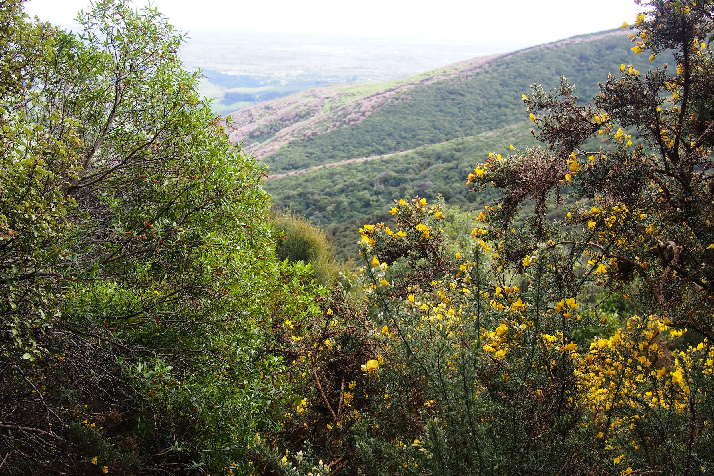 P9160395-17.jpg