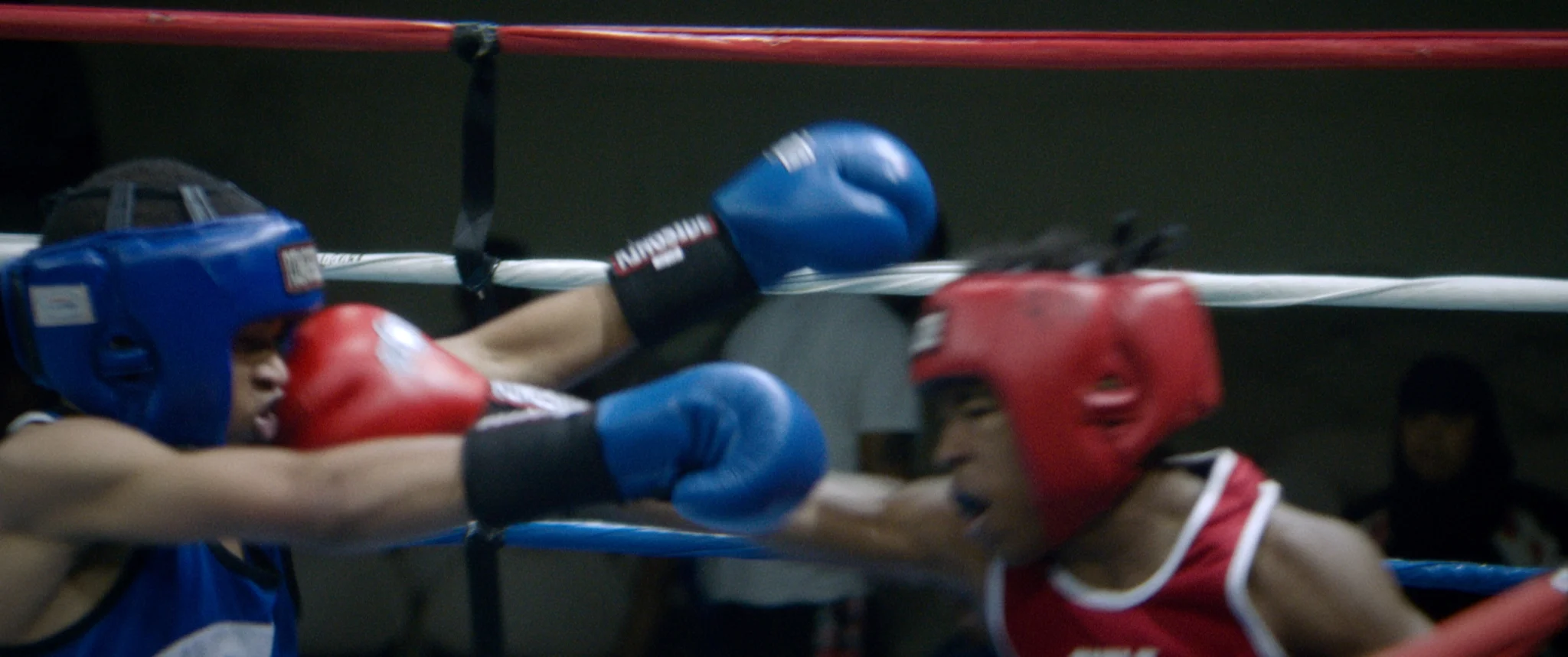 THEY_FIGHT_0030.jpg