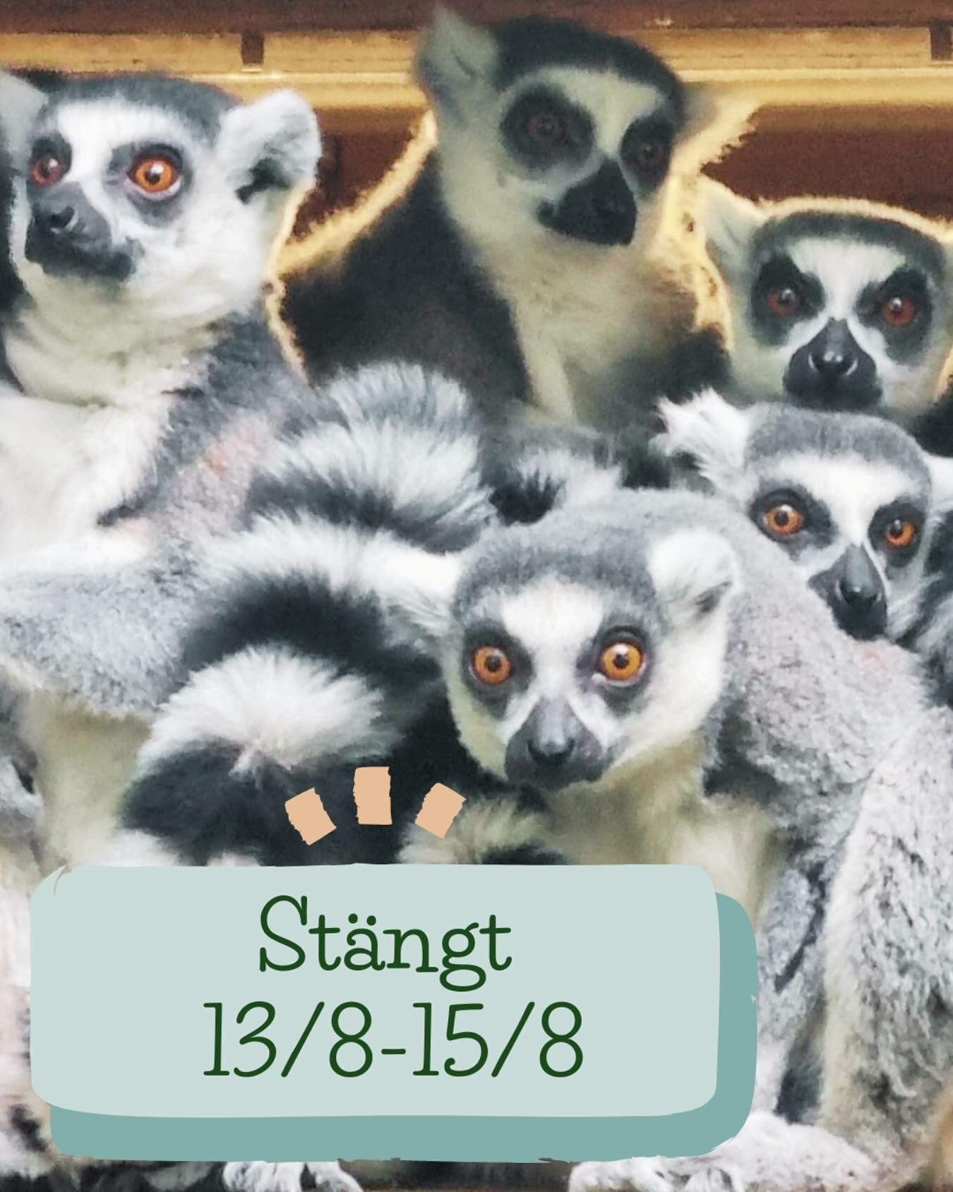 Idag 12/8 &auml;r den sista vardagen som vi har &ouml;ppet. 13/8-15/8 har vi st&auml;ngt men &ouml;ppnar p&aring; l&ouml;rdag 16/8 igen kl 10-17 och &auml;ven s&ouml;ndag 17/8 kl 10-17. Efter det har vi &ouml;ppet 10-17 alla helger i Augusti, 11-16 a