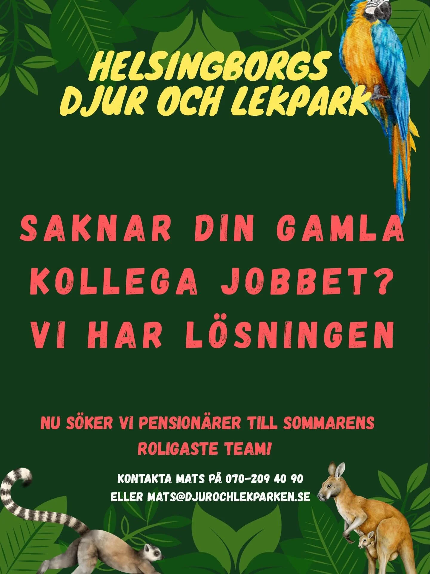Nu s&ouml;ker vi pension&auml;rer till sommarens roligaste team! 🌞🐐

Varje sommar fylls Helsingborgs Djur- och Lekpark av fantastiska ungdomar som jobbar hos oss. I &aring;r vill vi g&ouml;ra teamet &auml;nnu b&auml;ttre genom att ocks&aring; v&aum