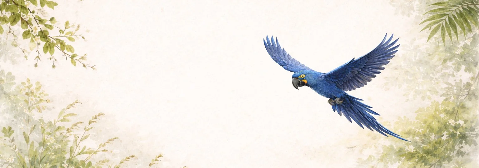 Hyacintara som flyger