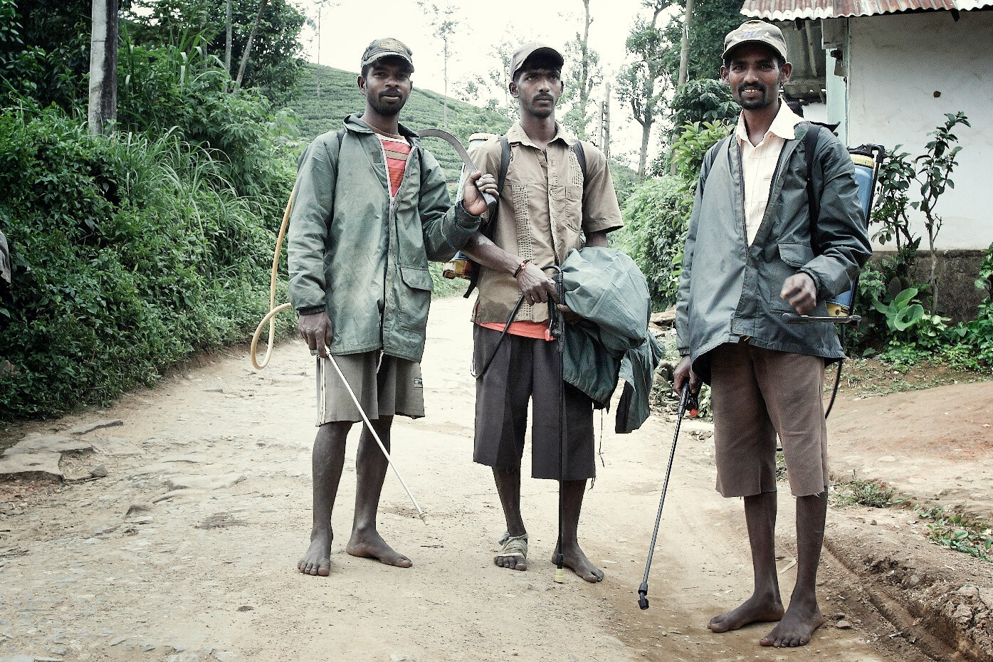  Fertiliser workers have to cover one hectare a day.   