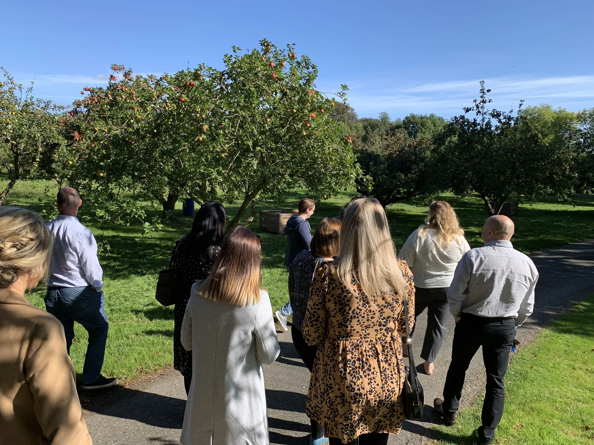Walking through the orchards.