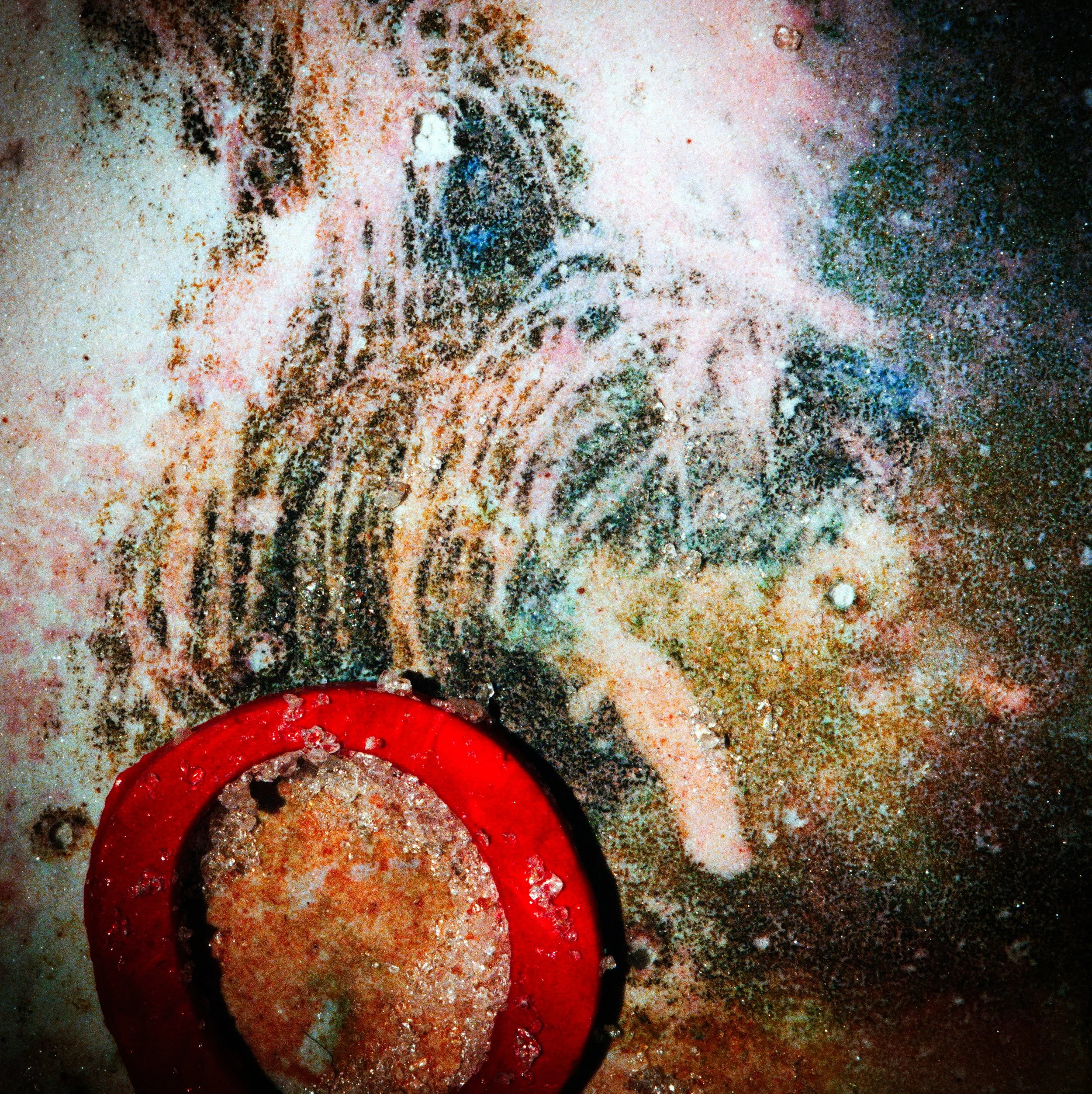 2G9A0183c (2)ps3.jpg