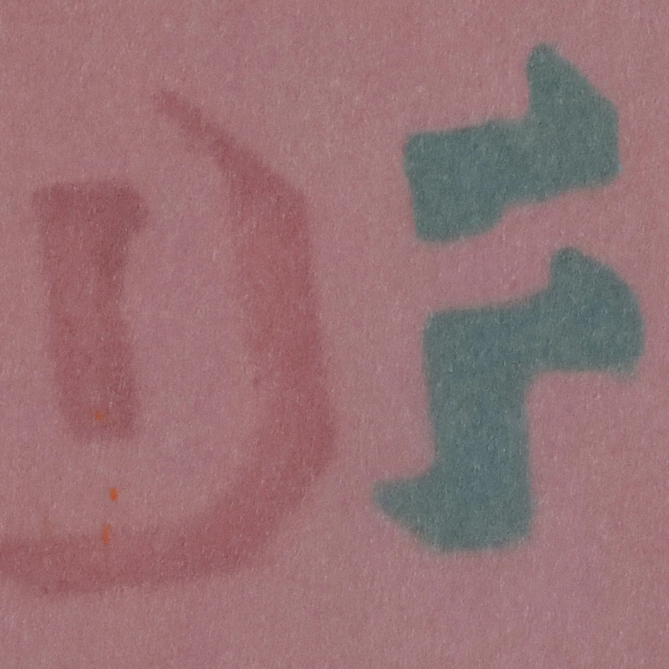 2G9A9364 crop DF.JPG