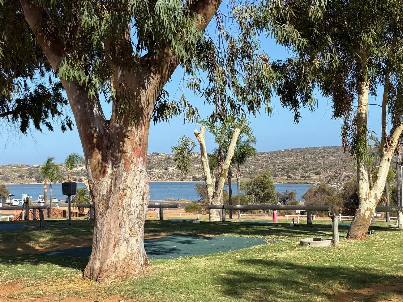 Kalbarri Anchorgae Holiday park_6 (8).jpg